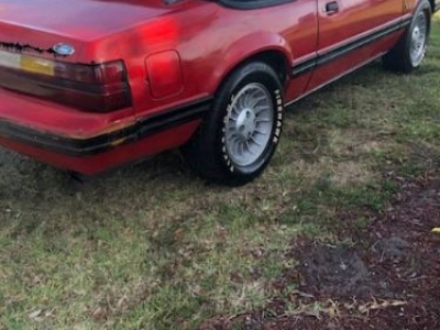 1983 Ford Mustang for sale