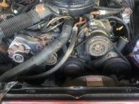 1983 Ford Mustang for sale in Michigan (ID-101589)