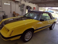 1983 Ford Mustang for sale in Michigan (ID-106861)