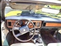 1983 Ford Mustang for sale in Michigan (ID-106861)