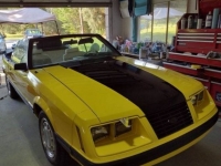 1983 Ford Mustang for sale in Michigan (ID-106861)