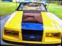 1983 Ford Mustang for sale in Michigan (ID-106861)