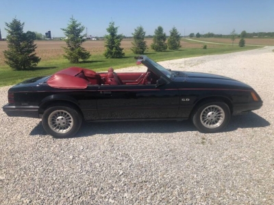 1983 Ford Mustang for sale