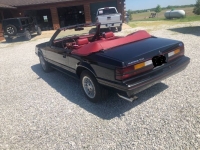 1983 Ford Mustang for sale in Michigan (ID-117453)