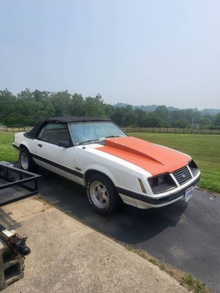 1983 Ford Mustang for sale in Michigan (ID-117940)