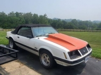 1983 Ford Mustang for sale in Michigan (ID-117940)