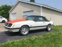 1983 Ford Mustang for sale in Michigan (ID-117940)
