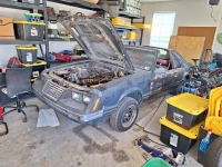 1983 Ford Mustang for sale in Michigan (ID-123384)