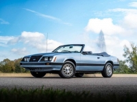 1983 Ford Mustang for sale in Riverhead, New York (ID-125422)