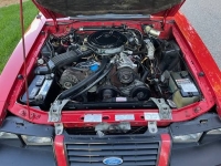 1983 Ford Mustang for sale in Michigan (ID-135309)