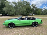 1983 Ford Mustang for sale in Michigan (ID-141997)