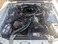 1983 Ford Mustang for sale in Michigan (ID-161998)