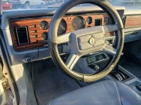 1983 Ford Mustang for sale in Michigan (ID-161998)