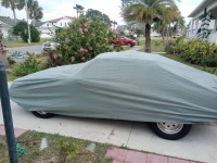 1983 Ford Mustang GT for sale in Michigan (ID-137014)