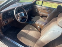 1983 Ford Thunderbird for sale in Michigan (ID-135888)