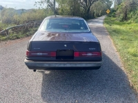 1983 Ford Thunderbird for sale in Michigan (ID-135888)