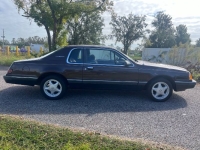 1983 Ford Thunderbird for sale in Michigan (ID-135888)
