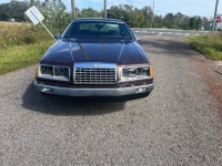 1983 Ford Thunderbird for sale in Michigan (ID-135888)