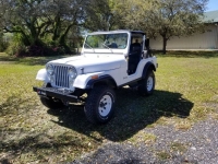 1983 Jeep CJ5 for sale in Michigan (ID-116248)