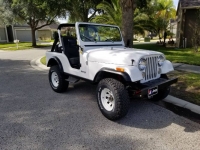 1983 Jeep CJ5 for sale in Michigan (ID-116248)