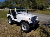 1983 Jeep CJ5 for sale in Michigan (ID-116248)