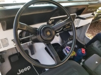 1983 Jeep CJ5 for sale in Michigan (ID-116248)