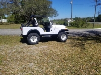 1983 Jeep CJ5 for sale in Michigan (ID-116248)
