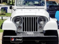 1983 Jeep CJ5 for sale in Michigan (ID-116248)