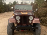 1983 Jeep CJ7 for sale in Michigan (ID-113307)