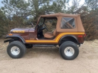 1983 Jeep CJ7 for sale in Michigan (ID-113307)