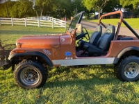 1983 Jeep CJ7 for sale in Michigan (ID-115592)
