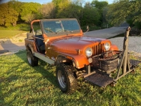 1983 Jeep CJ7 for sale in Michigan (ID-115592)