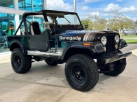 1983 Jeep CJ7 for sale in Riverhead, New York (ID-126669)