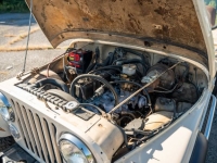 1983 Jeep CJ7 for sale in Michigan (ID-145852)
