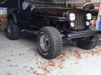 1983 Jeep CJ7 for sale in Michigan (ID-161856)