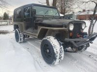 1983 Jeep CJ8 for sale in Michigan (ID-113768)
