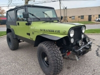 1983 Jeep CJ8 for sale in Michigan (ID-122516)