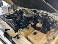1983 Jeep Grand Wagoneer for sale in Michigan (ID-136728)
