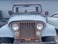 1983 Jeep Scrambler for sale in Michigan (ID-161698)