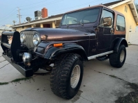1983 Jeep Wrangler for sale in Michigan (ID-129937)