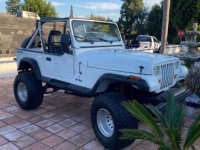 1983 Jeep Wrangler for sale in Michigan (ID-142239)