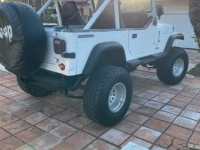 1983 Jeep Wrangler for sale in Michigan (ID-142239)