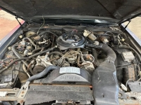 1983 Lincoln Mark VI for sale in Michigan (ID-142365)