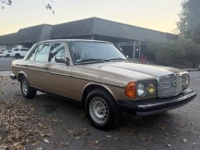 1983 Mercedes-Benz W123 for sale in Michigan (ID-155735)