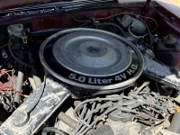 1983 Mercury Capri for sale in Michigan (ID-136960)