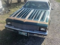 1983 Oldsmobile Custom Cruiser for sale in Michigan (ID-119860)