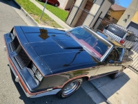 1983 Oldsmobile Cutlass for sale in Michigan (ID-133092)