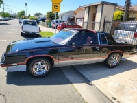 1983 Oldsmobile Cutlass for sale in Michigan (ID-133092)