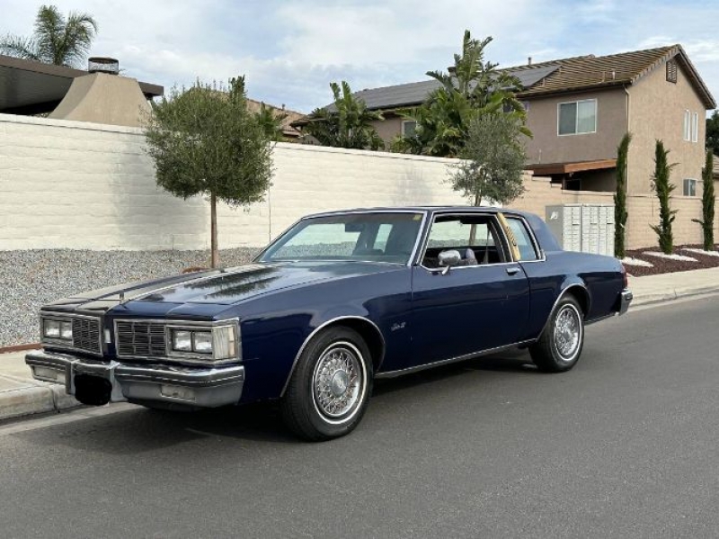 1983 Oldsmobile Delta 88 for sale in Michigan (ID-123771)