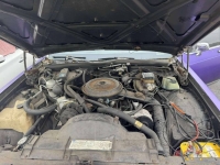 1983 Oldsmobile Delta 88 for sale in Michigan (ID-142726)